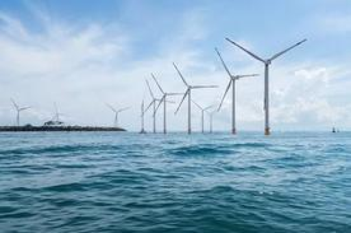 3分钟教你科普“葫芦多少钱《详细教程 新浪科技》